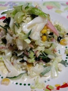はまる♪もりもりキャベツさらだ♪-レシピのメイン写真