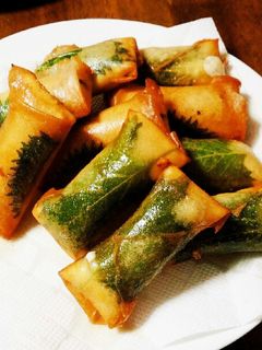 ササミとチーズの春巻き-レシピのメイン写真