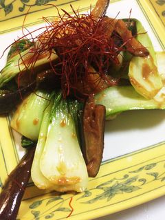 茄子とチンゲン菜の☆豆板醤味噌炒め-レシピのメイン写真