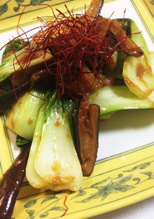 茄子とチンゲン菜の☆豆板醤味噌炒め-レシピのメイン写真