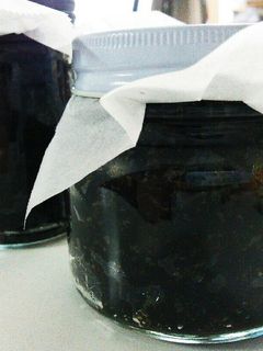 青さ海苔の佃煮-レシピのメイン写真