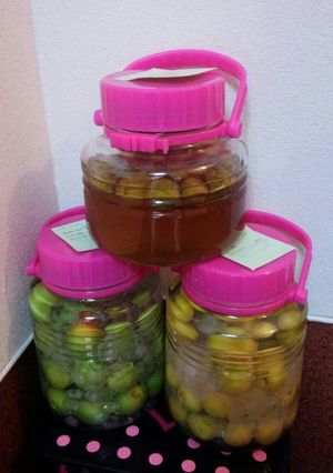 はつみつと氷砂糖の甘ーい梅酒-レシピのメイン写真