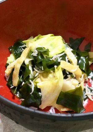 ワカメとしらすの梅風味だし和え-レシピのメイン写真