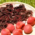 梅講師直伝㉘赤しそでもみしその作り方