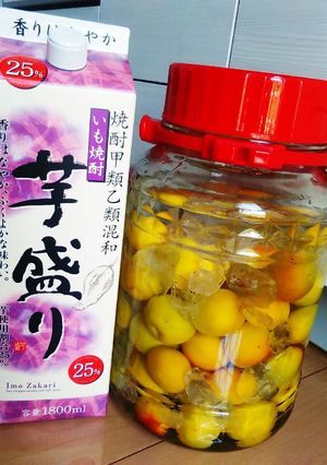梅酒2015年-レシピのメイン写真