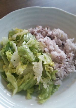 材料はレタスだけ!!さっぱりレタス丼-レシピのメイン写真