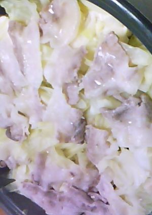 キャベツと豚肉の蒸し煮鍋-レシピのメイン写真