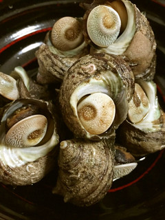 食べやすい!!サザエの甘辛煮-レシピのメイン写真