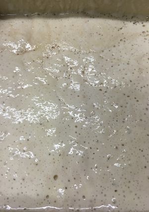 ぶどう酵母のパン種♡-レシピのメイン写真