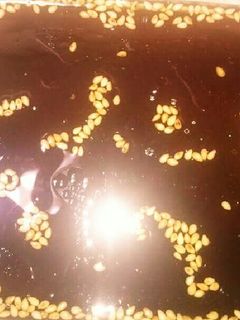 冷やし中華のタレ⭐子供向け-レシピのメイン写真