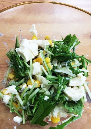 水菜と豆腐のサラダ-レシピのメイン写真