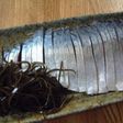 我が家のしめ鯖