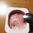 *材料一つ*フローズンヨーグルト*