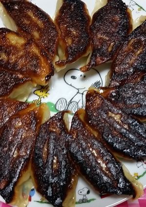 カリット焼き餃子-レシピのメイン写真