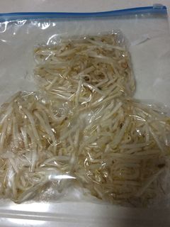 もやしの保存方法(しっかり保存-レシピのメイン写真