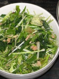 水菜しゃきしゃき♪ほうれん草サラダ-レシピのメイン写真