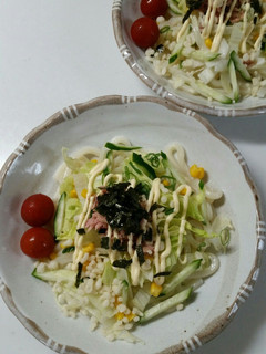 サラダうどん!簡単!時短!-レシピのメイン写真