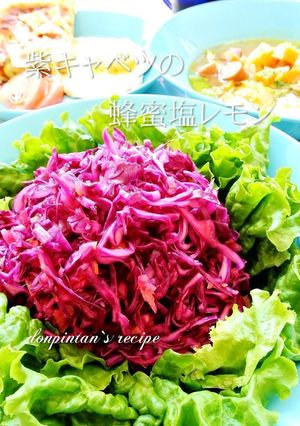甘酸っぱ~い☺紫キャベツの蜂蜜塩レモン-レシピのメイン写真