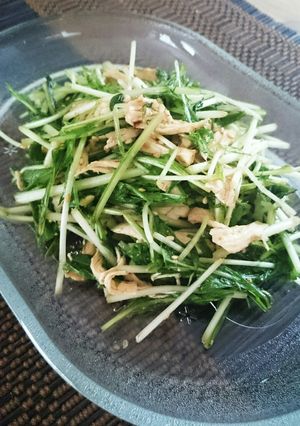 水菜とささみのさっぱり梅ごまサラダ-レシピのメイン写真