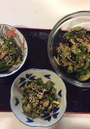 簡単茄子と青じその即席お通し-レシピのメイン写真