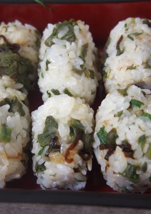 タラの芽ご飯-レシピのメイン写真