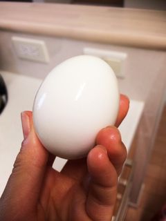 割れないよ!ゆで卵の作り方-レシピのメイン写真