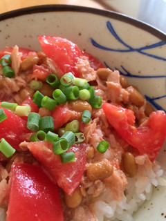 簡単ランチ☆納豆ツナトマト丼-レシピのメイン写真
