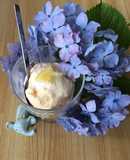 塩レモン活用レシピ♪バニラアイスにon♬