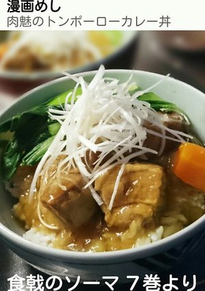 漫画めし:肉魅のトンポーロウカレー丼-レシピのメイン写真