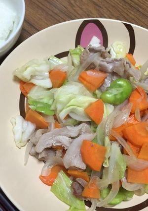 野菜炒め ＊-レシピのメイン写真