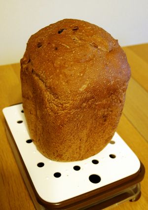 ココアレーズンくるみパン(HB使用)-レシピのメイン写真