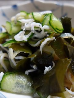 すし酢で☆きゅうりとワカメ酢の物-レシピのメイン写真