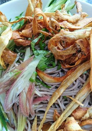 牛蒡のピーラースライス素揚げ載せ冷製蕎麦-レシピのメイン写真