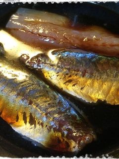 魚の漬け丼用タレ-レシピのメイン写真