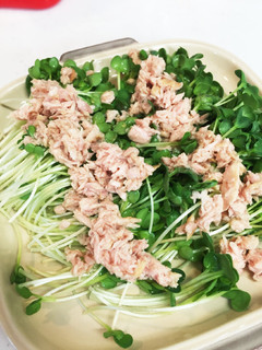 おつまみ無い?パパッとカイワレツナ缶-レシピのメイン写真