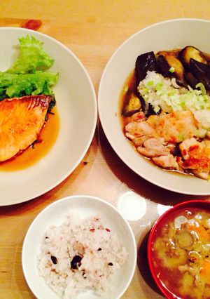 ネギでさっぱり☆鶏肉とナスの煮浸し定食-レシピのメイン写真