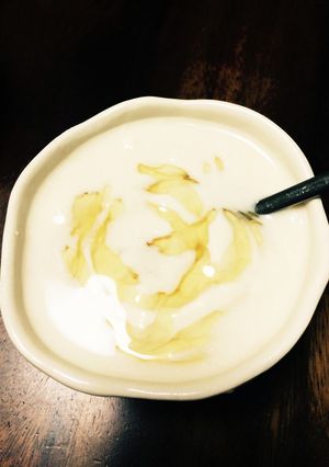 毎夜どうぞ♪♪はちみつ豆乳グルト-レシピのメイン写真