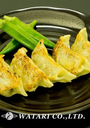 オクラ入りジューシー餃子◇肉あんふんわり-レシピのメイン写真