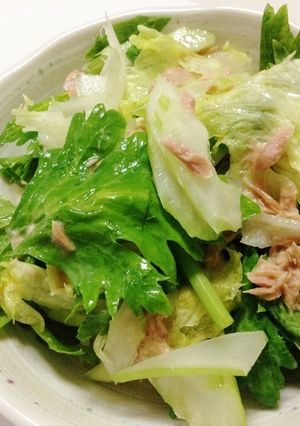 セロリ&ツナ&レタス サラダ-レシピのメイン写真