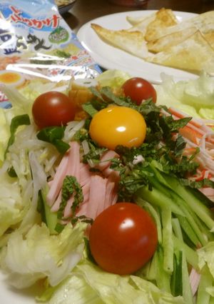 ヘルシー具たっぷり☆目玉冷やしラーメン-レシピのメイン写真