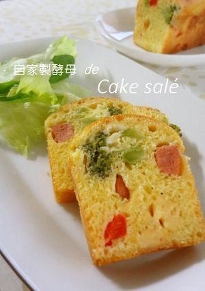 自家製酵母deケークサレ-レシピのメイン写真
