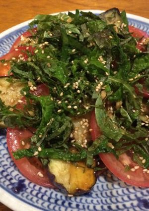 揚げ茄子とトマトの冷たいサラダ-レシピのメイン写真