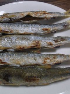 小鮎の昆布茶塩焼き-レシピのメイン写真