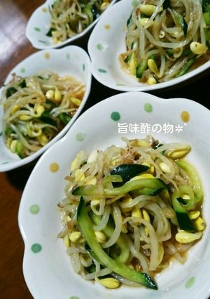さっぱり✪豆もやしと胡瓜の旨味酢の物✲゚-レシピのメイン写真
