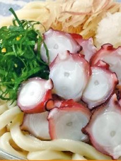 たこの冷やしおろしうどん-レシピのメイン写真