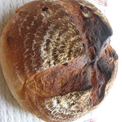 ヨーグルト酵母でパンを焼く。 : 自然発酵種「るゔぁん」でもっと味わい深いパン… Amazon.co.jp: ヨーグルト酵母でパンを焼く。 自然発酵種「るゔぁん