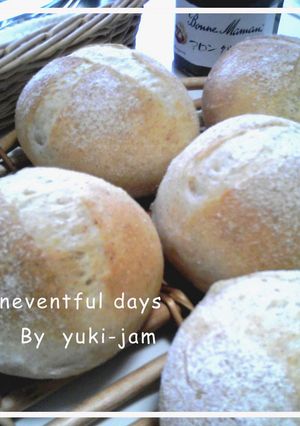 ＊粉の風味を味わうお食事パン＊-レシピのメイン写真