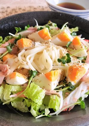 夏にぴったり♪野菜たっぷりサラダうどん-レシピのメイン写真