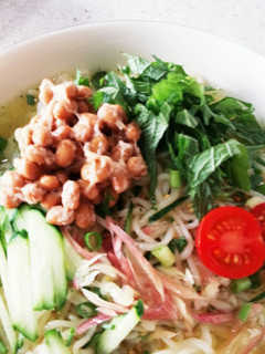 夏にさっぱり!冷しラーメン-レシピのメイン写真