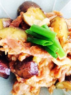 豚肉と茄子の生姜炒め♬丼にしても美味!-レシピのメイン写真